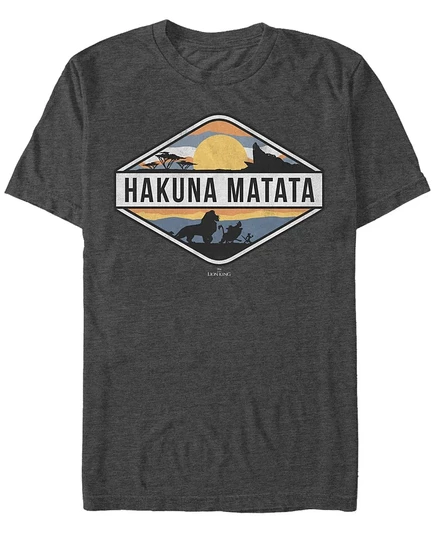 Мужская футболка Fifth Sun Hakuna Matata, серая
