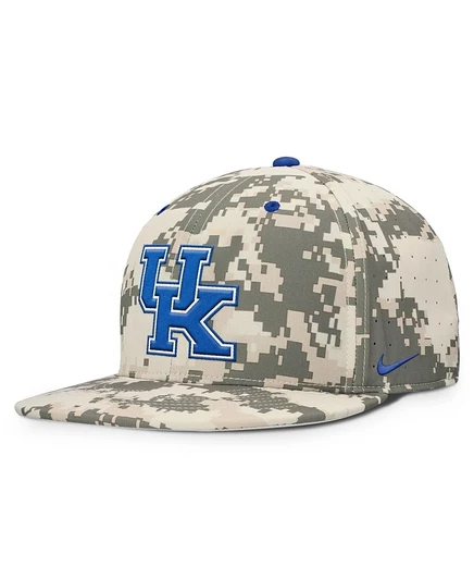 Мужская бейсболка Nike Kentucky Wildcats 2025, зеленая