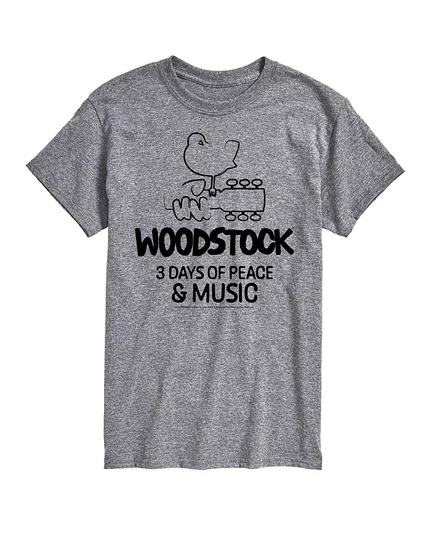 Мужская футболка Airwaves «Woodstock 3 Days», серебристая