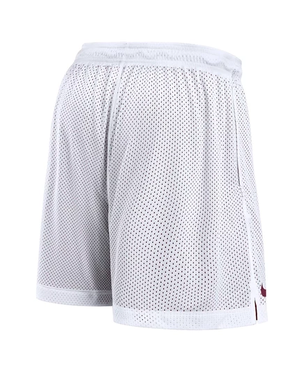 Мужские бело-розовые спортивные шорты Nike Florida State Seminoles Prime Time с реверсивным рисунком white, garnet