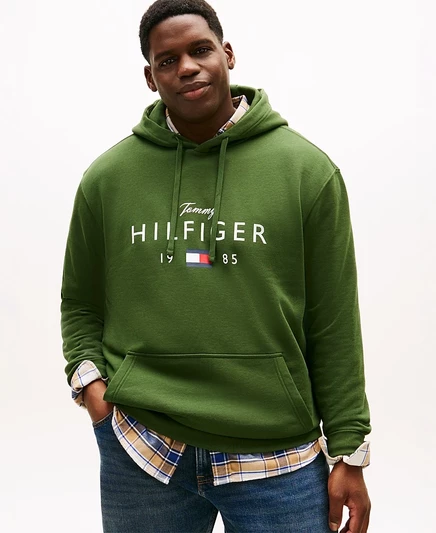 Мужская толстовка с капюшоном Tommy Hilfiger, зеленая