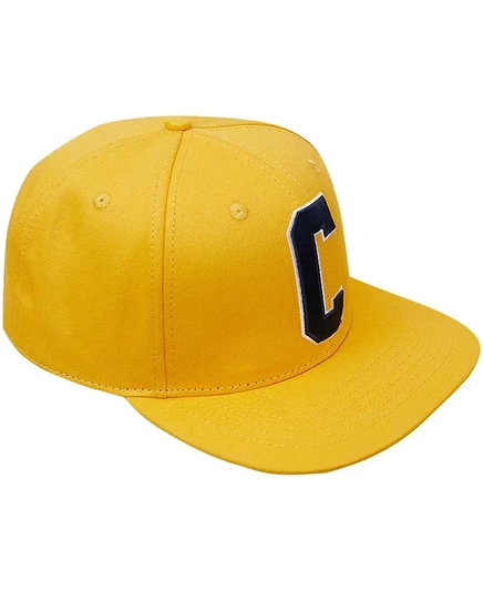 Мужская кепка Pro Standard Gold Coppin State Eagles Evergreen C застежкой-молнией gold