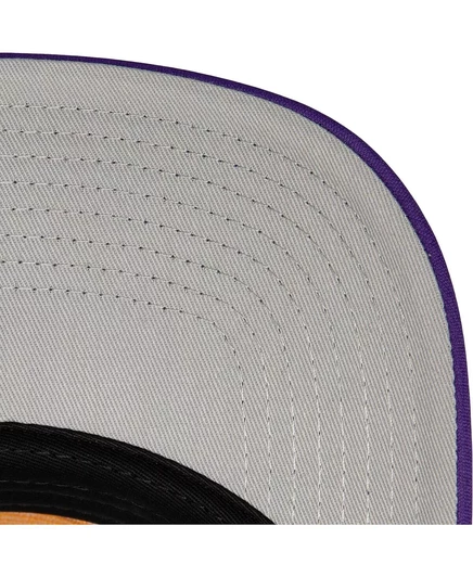 Мужская кепка Mitchell & Ness Phoenix Suns Trucker, белая