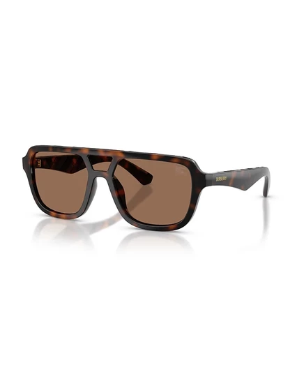 Мужские солнцезащитные очки burberry be4474u, коричневые