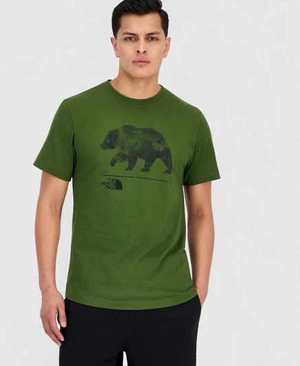 Мужская футболка The North Face Evolution MTN Bear с коротким рукавом зеленого цвета