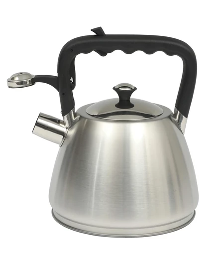 Чайник со свистком Mr. Coffee Armidale 2,4 л, нержавеющая сталь, серебристый