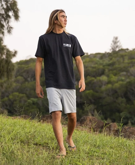 Мужские шорты Quiksilver Taxer Amphibian, серебристые