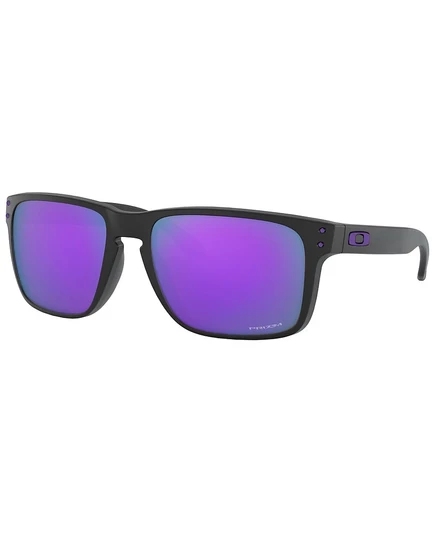 Мужские солнечные очки Oakley Holbrook XL Prizm, черные