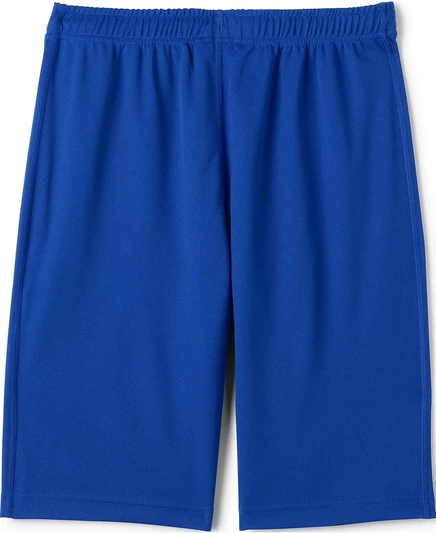 Мужские сетчатые спортивные шорты Lands End из Лэндс-Энда cobalt