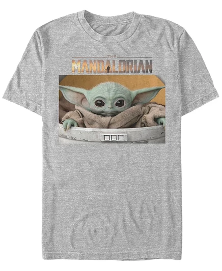 Мужская футболка Fifth Sun Star Wars The Child, серая