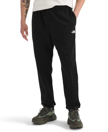 Мужские джоггеры The North Face Evolution Dome, черные