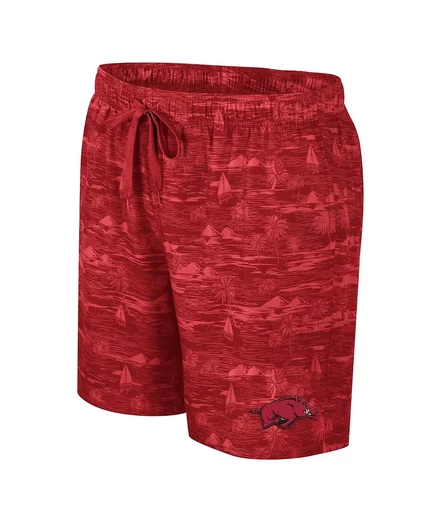 Мужские плавательные шорты Colosseum Cardinal Arkansas Razorbacks Ozark cardinal