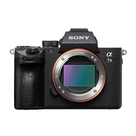 Беззеркальная камера Sony Alpha a7 III (только корпус), черная