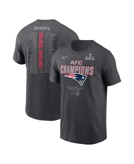 Мужская футболка Nike Patriots Champions 2025, серебристая
