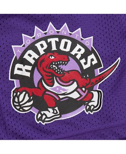 Мужские шорты Mitchell & Ness Toronto Raptors, фиолетовые