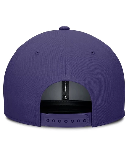 Мужская бейсболка Nike Pro Performance Snapback фиолетового цвета Tampa Bay Rays purple