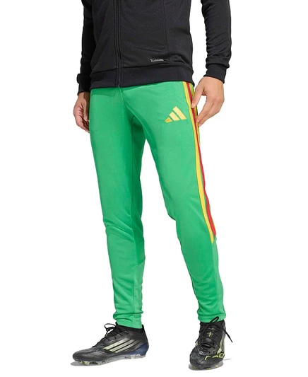 Мужские спортивные брюки Adidas Tiro 26, зеленые