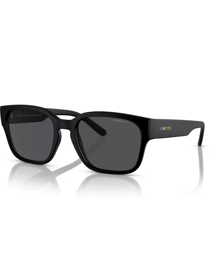 Мужские солнцезащитные очки Arnette Hamie AN4325 matte black