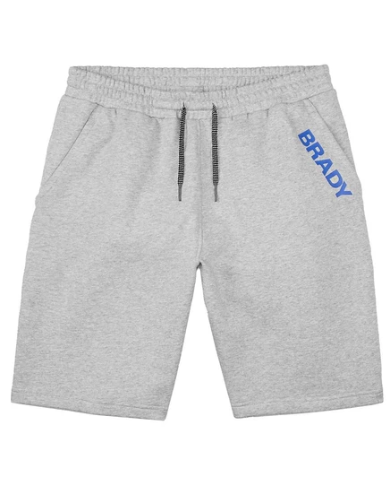 Мужские флисовые шорты BRADY серого цвета с надписью Wordmark gray