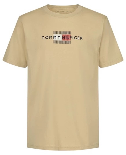 Мальчиковая футболка Tommy Hilfiger Linear Flag, бежевая
