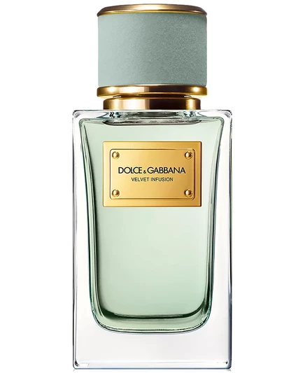 Парфюмерная вода Dolce & Gabbana Velvet Infusion, 100 мл