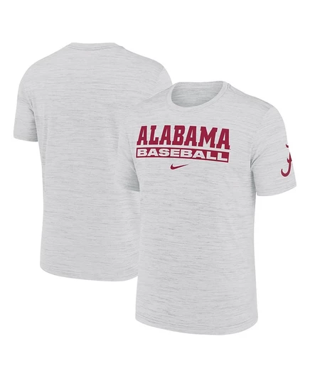 Мужская футболка Nike Alabama Crimson Tide Dri-FIT, серая