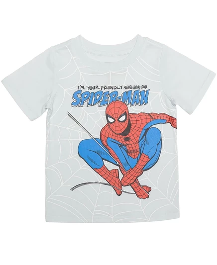 Мальчиковая футболка Spider-Man Web Swing 2T–5T, синяя
