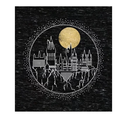 Черная футболка Harry Potter Big & Tall Hogwarts Line Art Moonrise-4XL black