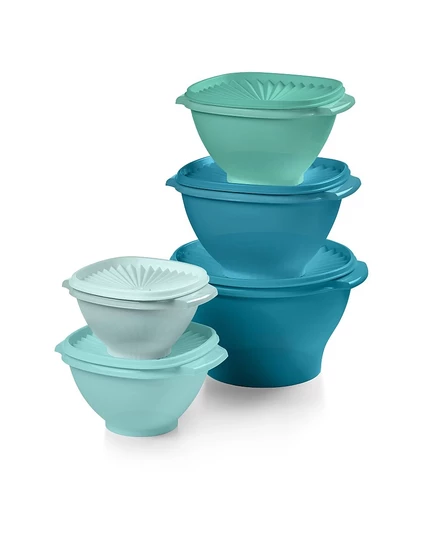Коллекция Tupperware Heritage, 10 шт. Набор контейнеров для хранения продуктов зеленый