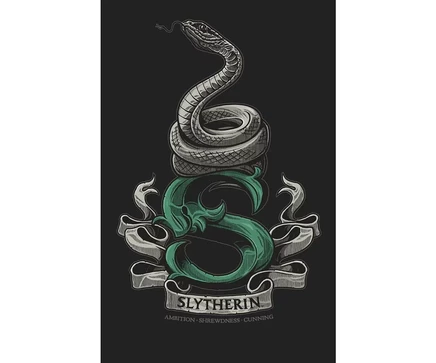 Мужская футболка со змеей Слизерина из Гарри Поттера, черная-4XL black
