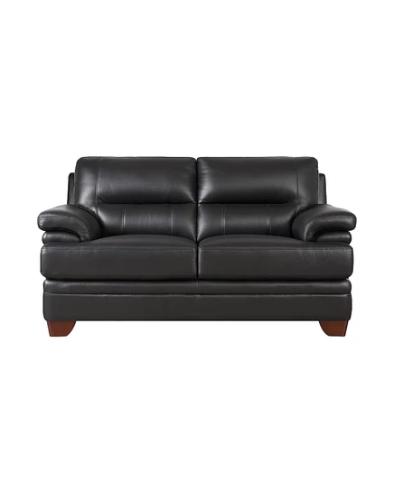 Двухместный диван Hydeline Luxor 66″ кожаный, черный