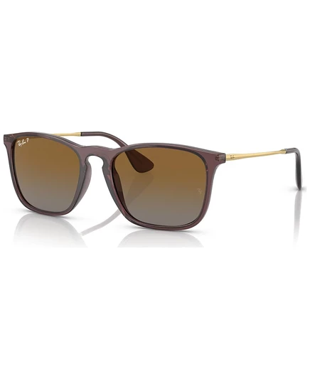 Мужские поляризованные очки Ray-Ban RB418754-YP, коричневые