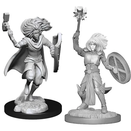 Набор неокрашенных миниатюр D&D W14 — мужской чэнджлинг-жрец