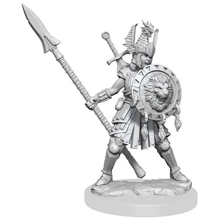 Миниатюра WizKids D&D Frameworks: W1 женщина-воин