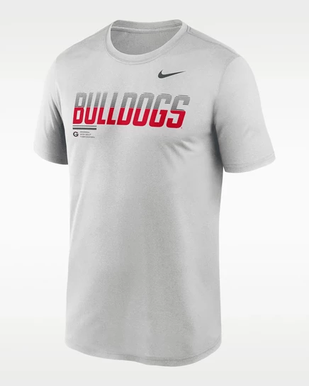 Мужская футболка Nike Georgia Sideline Legend Dri-FIT, серая
