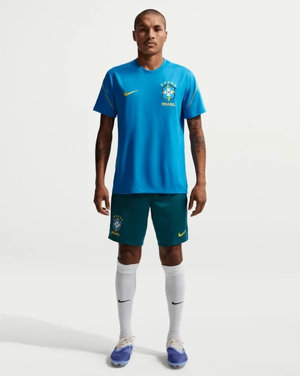 Мужские шорты Nike Brazil Strike, бирюзовые/мятные/золотые