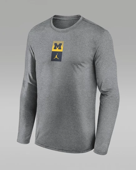 Мужской лонгслив Jordan Michigan Dri-FIT, серый