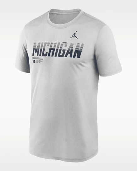 Мужская футболка Nike Jordan Sideline Legend Dri-FIT, серая