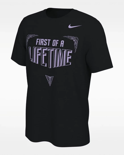 Мужская футболка Nike Golden State Valkyries WNBA, черная