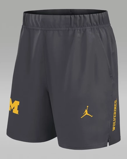 Мужские шорты Jordan «Michigan Primetime» Dri-FIT, серые