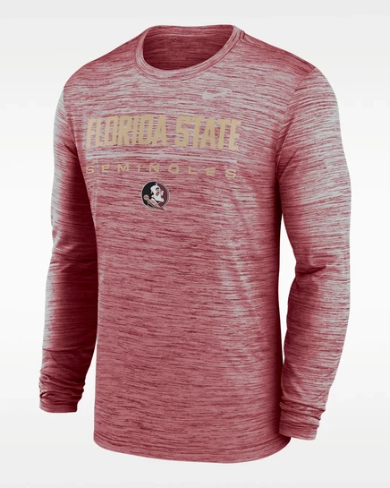 Мужская футболка Nike Florida State Dri-FIT, бордовая
