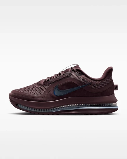 Женские беговые кроссовки Nike Pegasus Premium, многоцветные