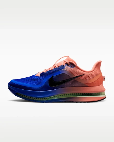 Мужские кроссовки Nike Pegasus Premium, синие
