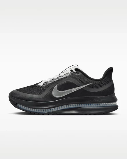 Мужские кроссовки Nike Pegasus Premium, черно-белые с серебром