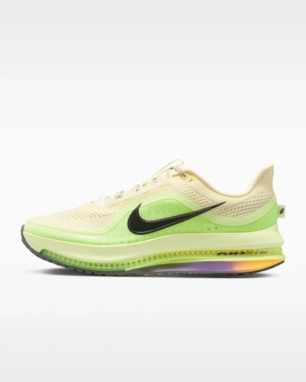 Мужские кроссовки Nike Pegasus Premium SP, многоцветные
