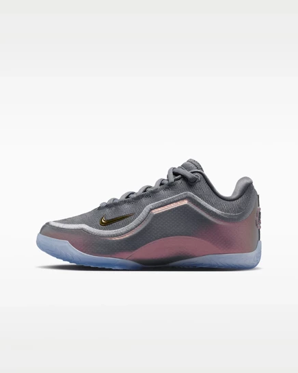 Кроссовки Nike LeBron XXIII, мультицветные