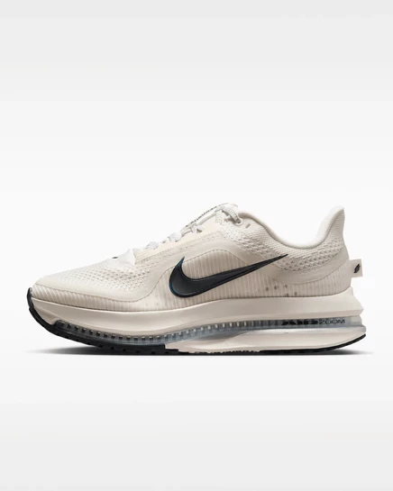 Женские беговые кроссовки Nike Pegasus Premium, многоцветные