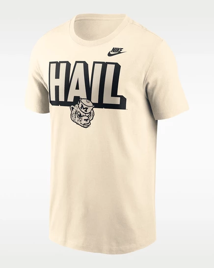 Мужская футболка Nike Michigan Team Bold, натуральная