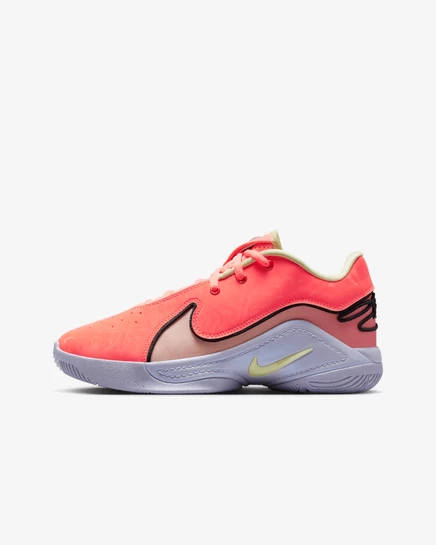 Кроссовки Nike LeBron XXII SE для детей, разноцветные