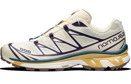 Мужские кроссовки Salomon XT-6, разноцветные
